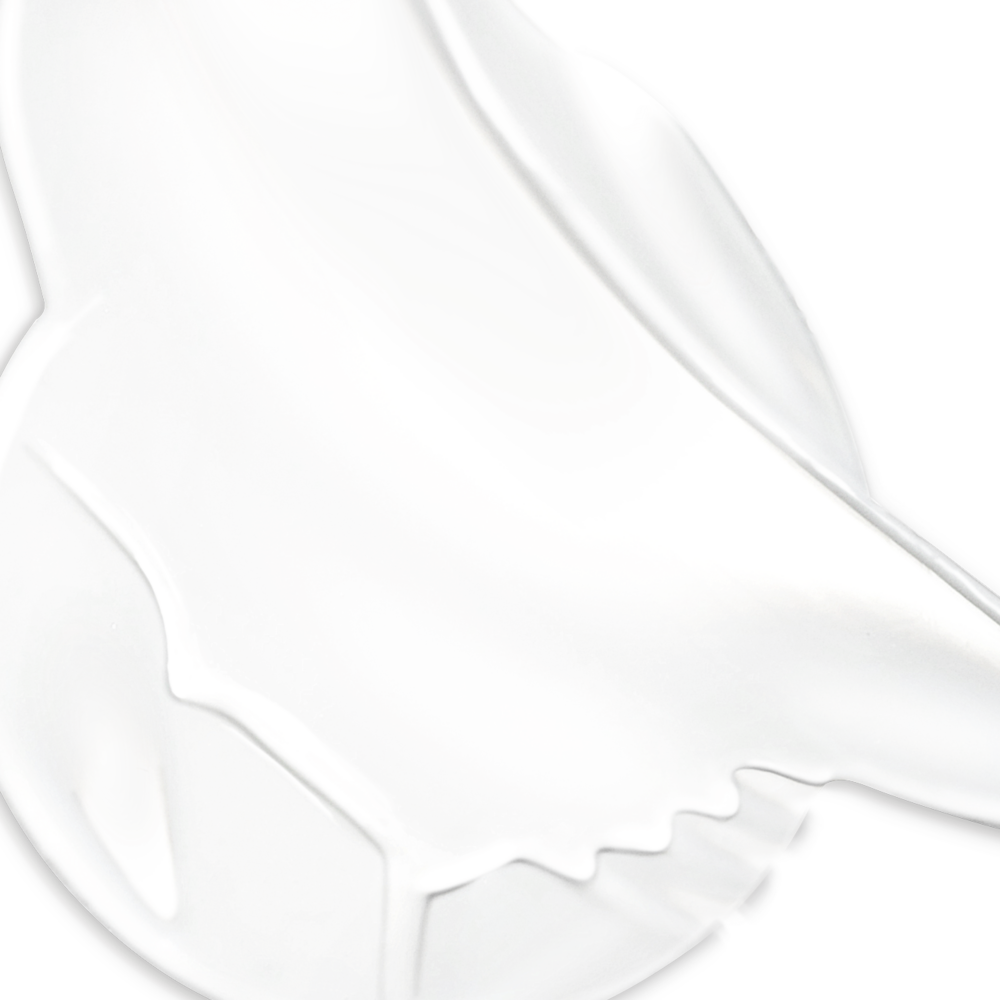 ADVANCED BRIGHTENING UV DEFENSE SPF 50